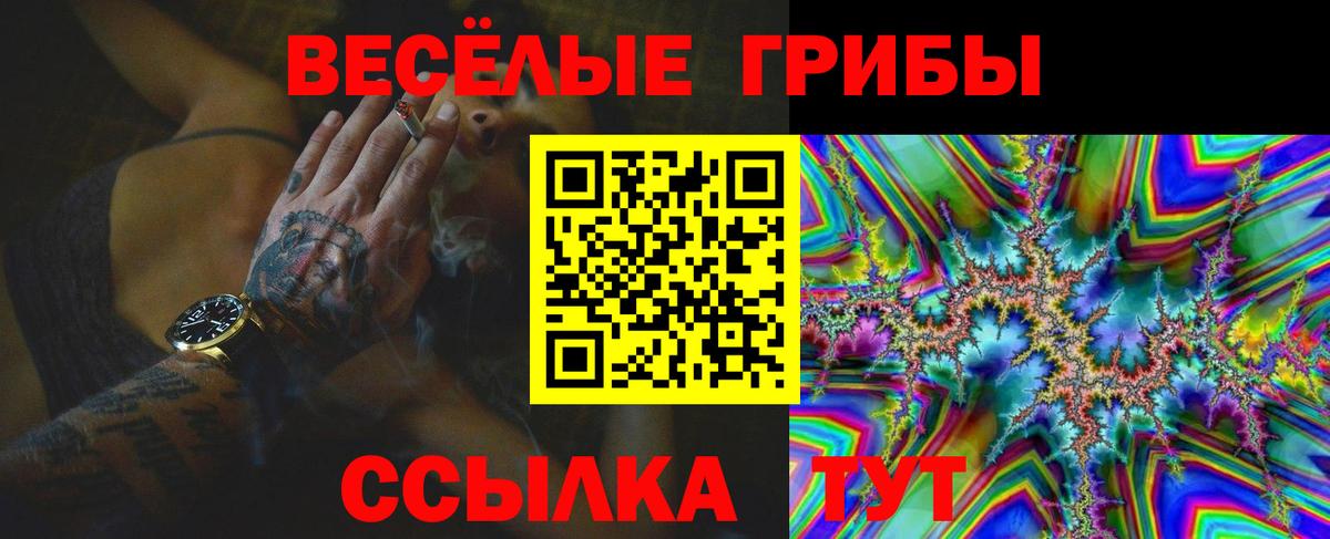 Codein Нижний Новгород