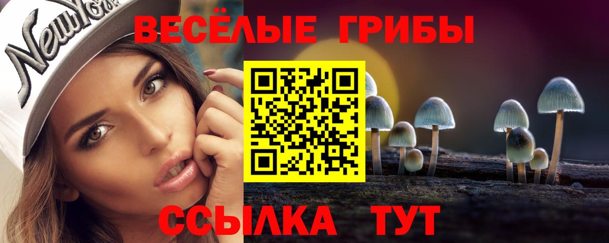 Галлюциногенные грибы мицелий Нижний Новгород